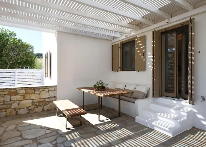 Executive Paros Aiolos Private Pool & Jacuzzi Kostos 别墅