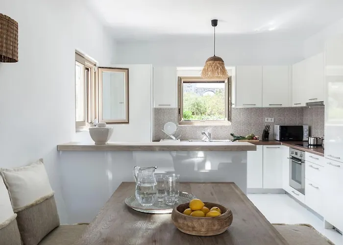 Executive Paros Aiolos Private Pool & Jacuzzi Kostos 别墅 *