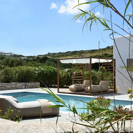 Executive Paros Aiolos Private Pool & Jacuzzi Kostos וילה