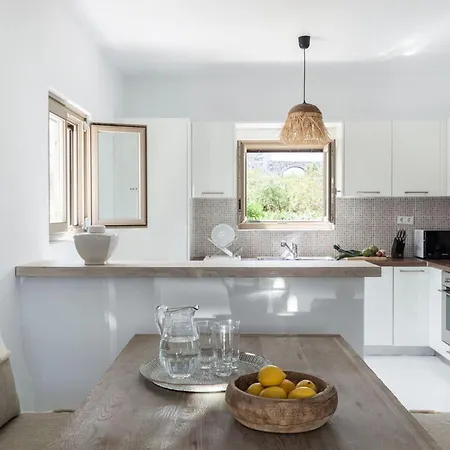 Executive Paros Aiolos Private Pool & Jacuzzi Kostos וילה *